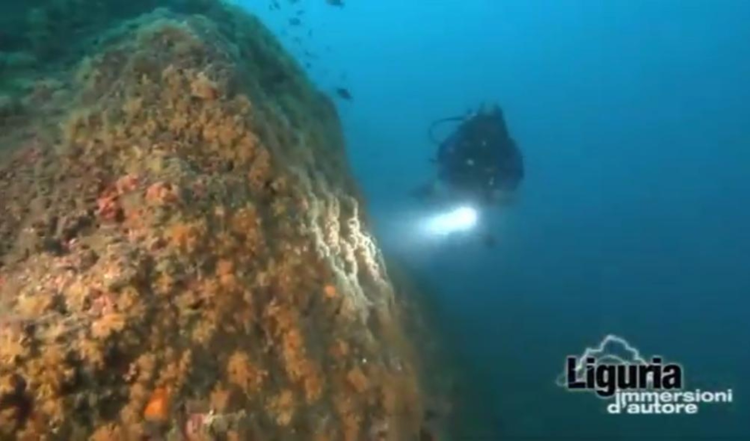 Immersioni d'autore in Liguria