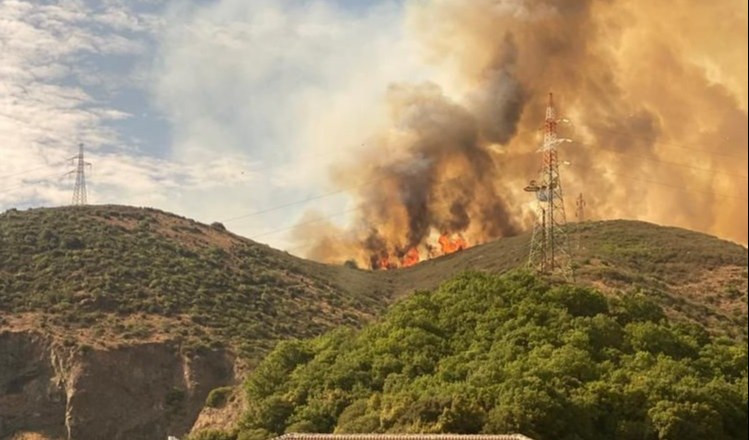 Genova, incendio boschivo a Scarpino: fiamme sotto controllo