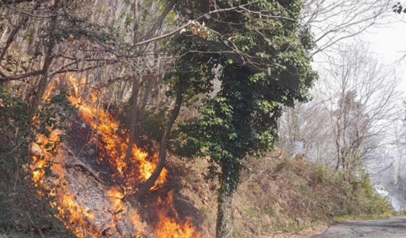 Incendio boschivo sopra a Valloria, intervenuto l'elicottero: brucia da ieri sera