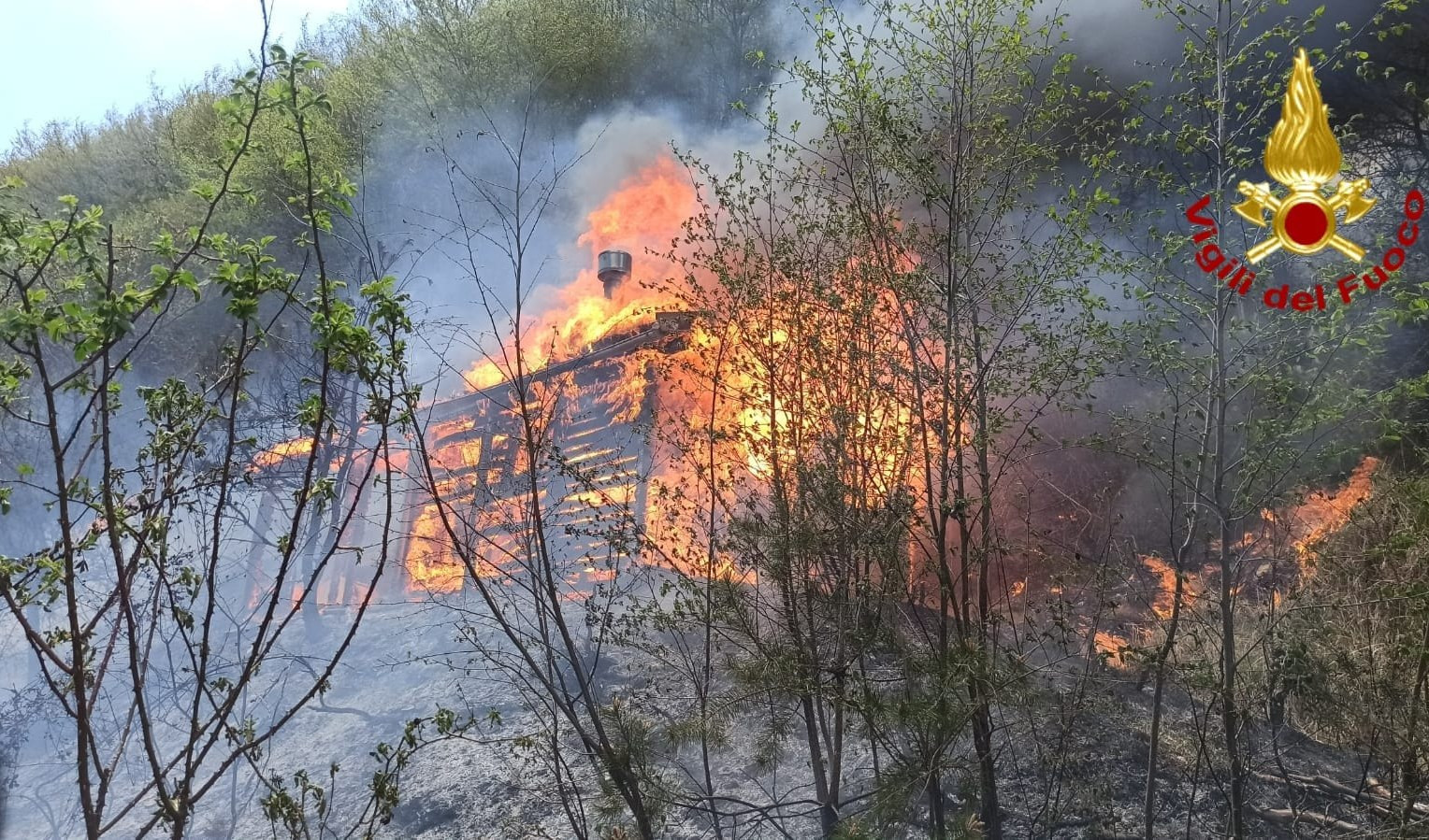 Incendio bosco a Vessalico, vigili del fuoco al lavoro 