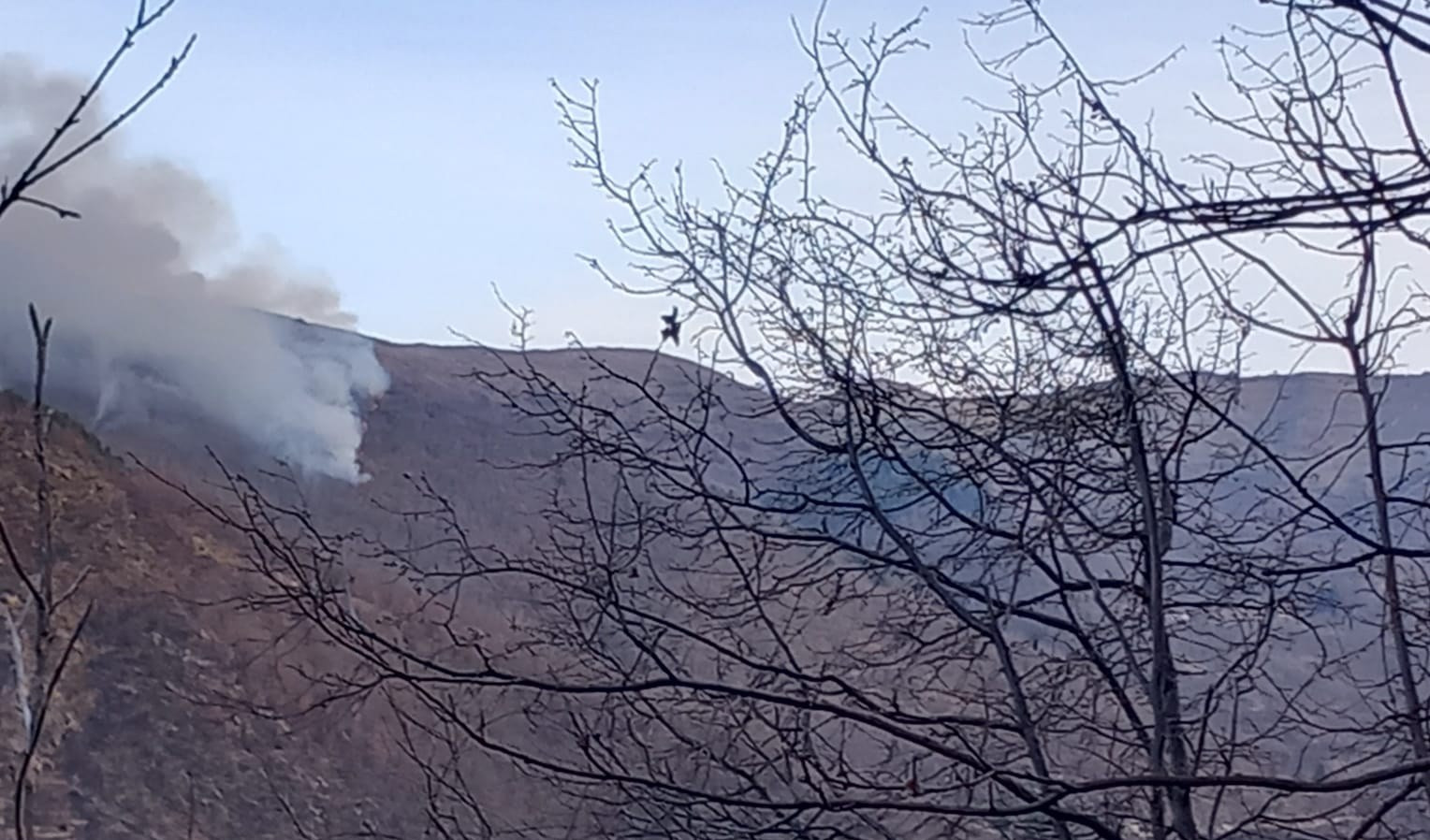 Incendio a Montalto Carpasio, fiamme sotto controllo