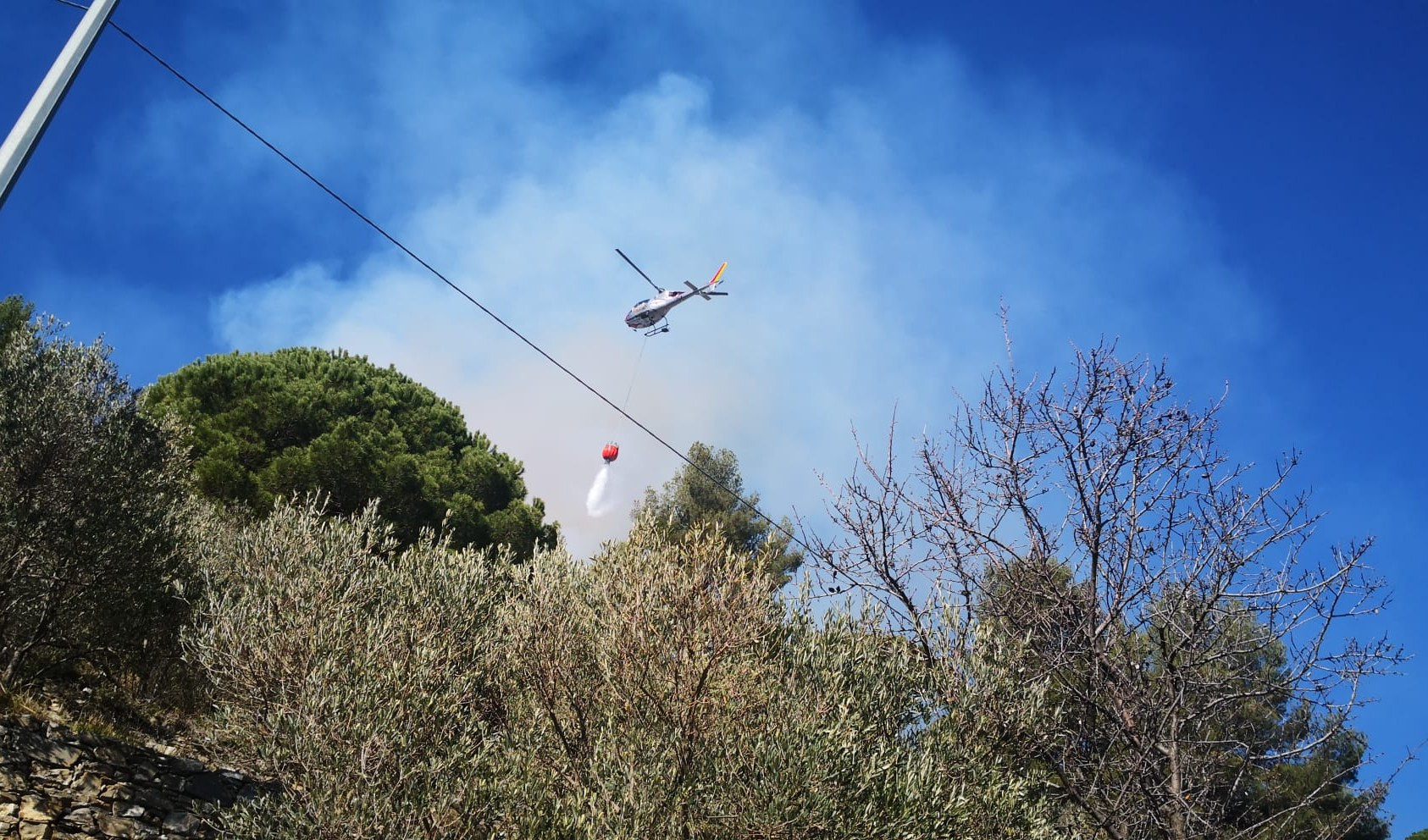 Savona, in fase di bonifica l'incendio boschivo sopra Zuccarello