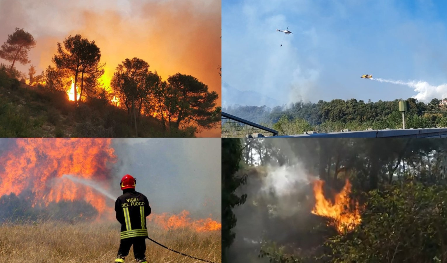 L'ombra del dolo dietro gli incendi, Giampedrone: 