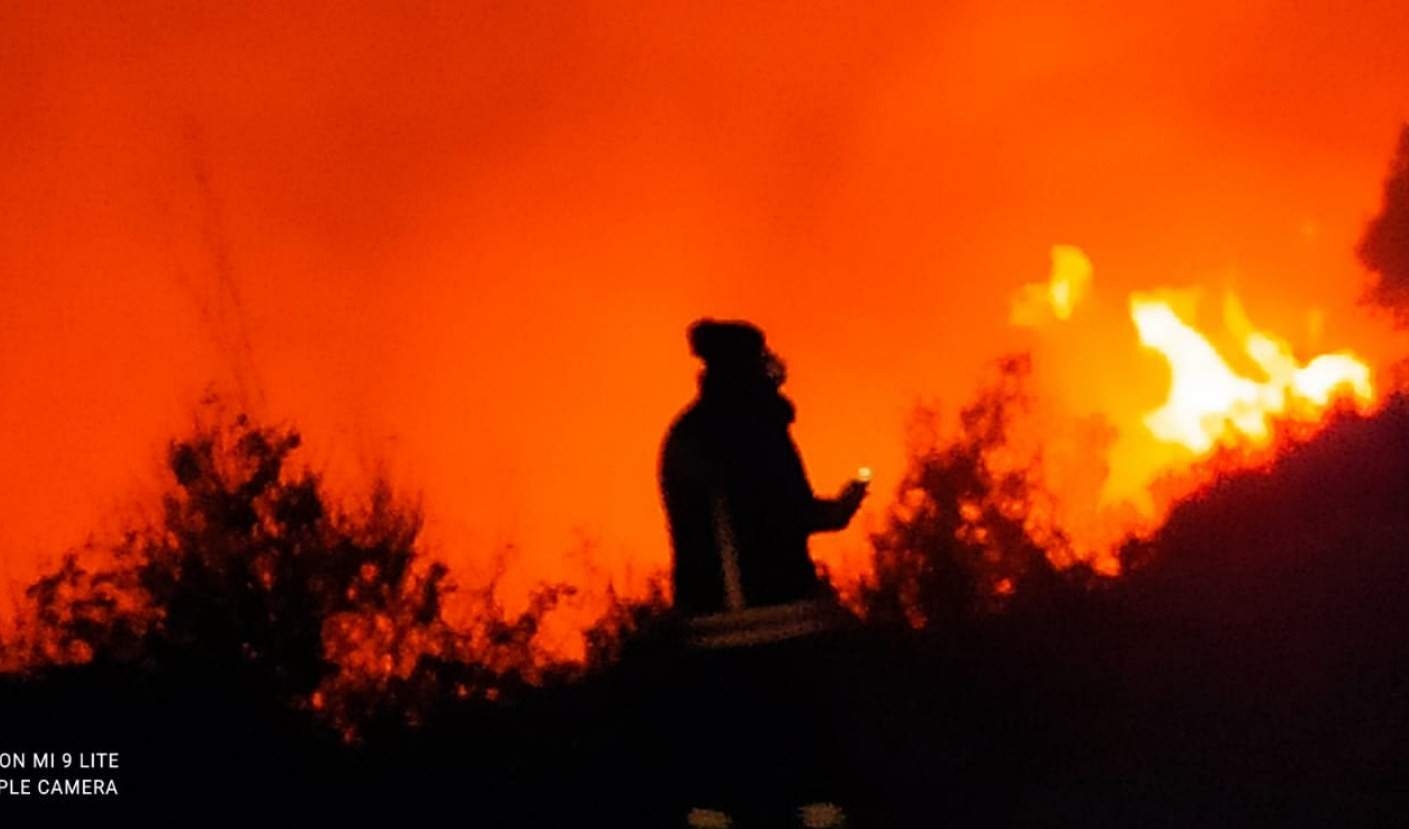Alassio, incendio in una pineta: fiamme vicino alle case