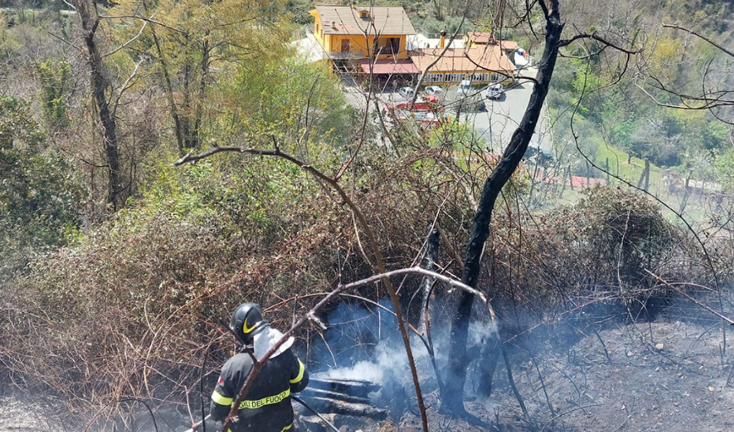 Incendio al confine tra La Spezia e Massa Carrara, brucia un bosco