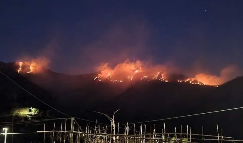 Incendio sul monte Ramaceto, le fiamme distruggono il bosco