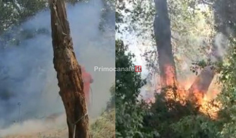 Incendio nel savonese: restano 4 sfollati, bruciati oltre 400 ettari di macchia mediterranea