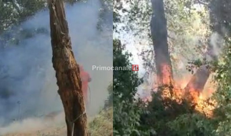 Incendio nel savonese, la procura apre indagine per rogo colposo a carico di ignoti