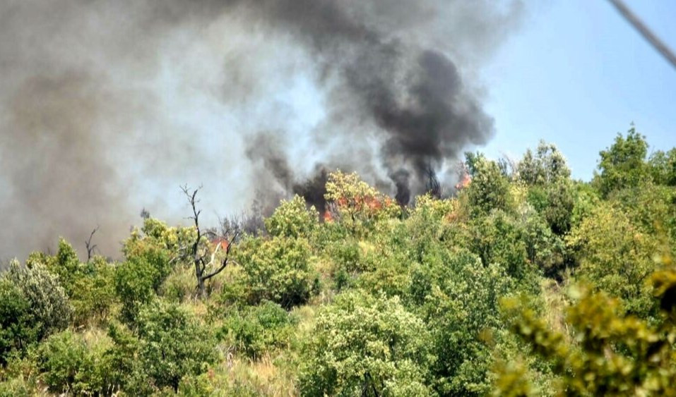 Lavagna, incendio nella pineta di Santa Giulia