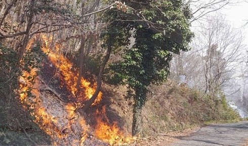 Incendio a Mele, fiamme divorano il bosco