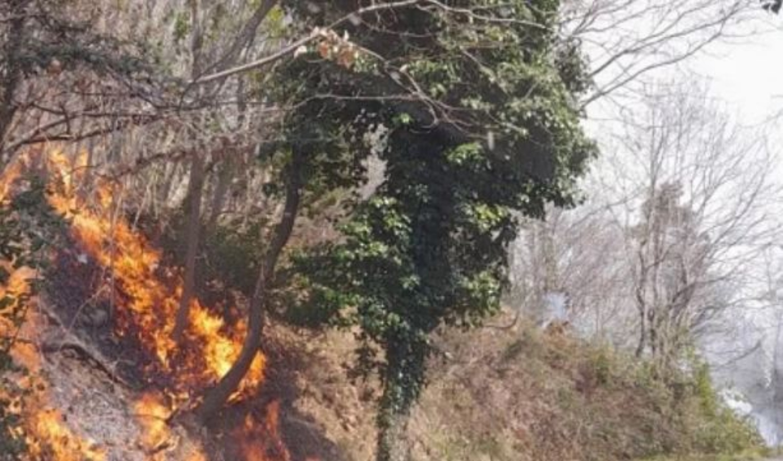 Incendio boschivo a Dego, ancora da chiarire le cause