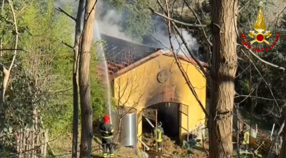 Fiamme in una stalla, corsa per salvare gli animali: muoiono alcune galline e pecore