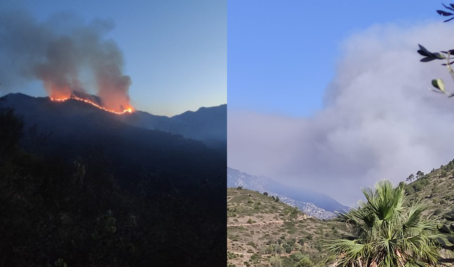 Incendio Olivetta S. Michele, dopo due giorni fiamme sotto controllo