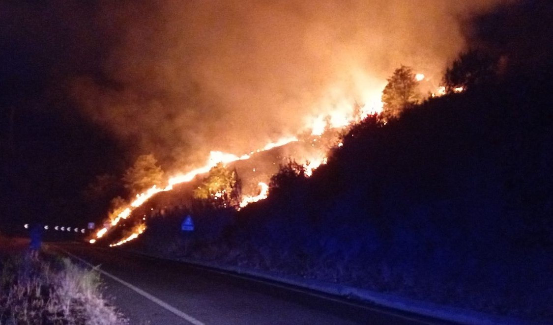 L'imperiese nella morsa delle fiamme: incendio lungo la statale 28