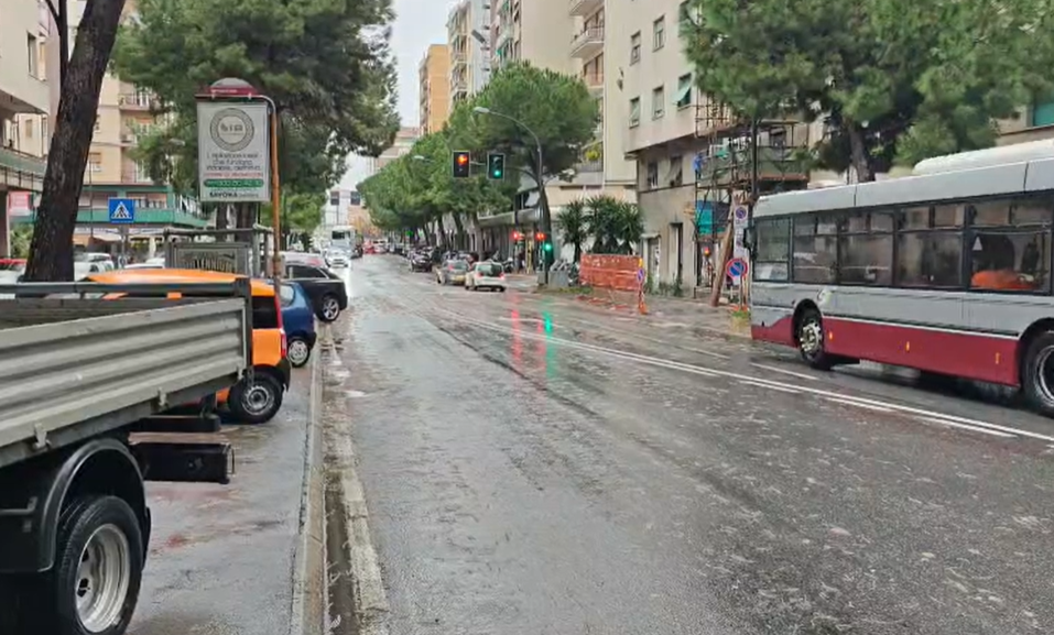 Studentessa travolta da un tir, aperto fascicolo per omicidio stradale. Continua la ricerca di testimoni