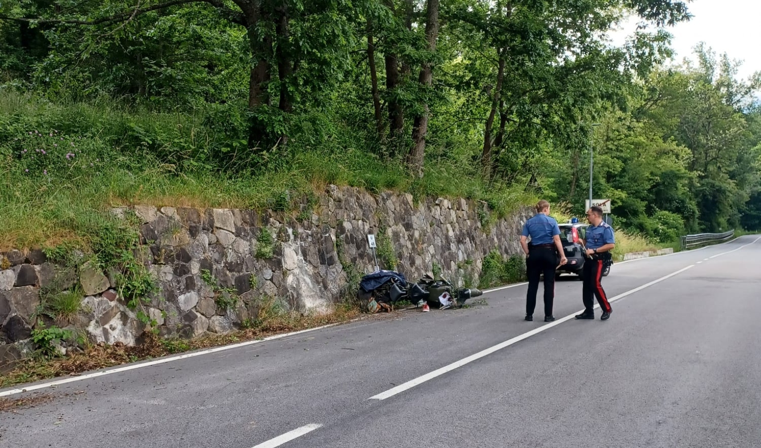 In moto contro un daino sulla statale 45: grave centauro