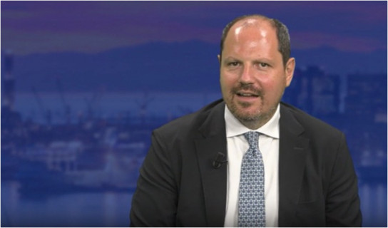 Tassa sui crocieristi, Terrile: 