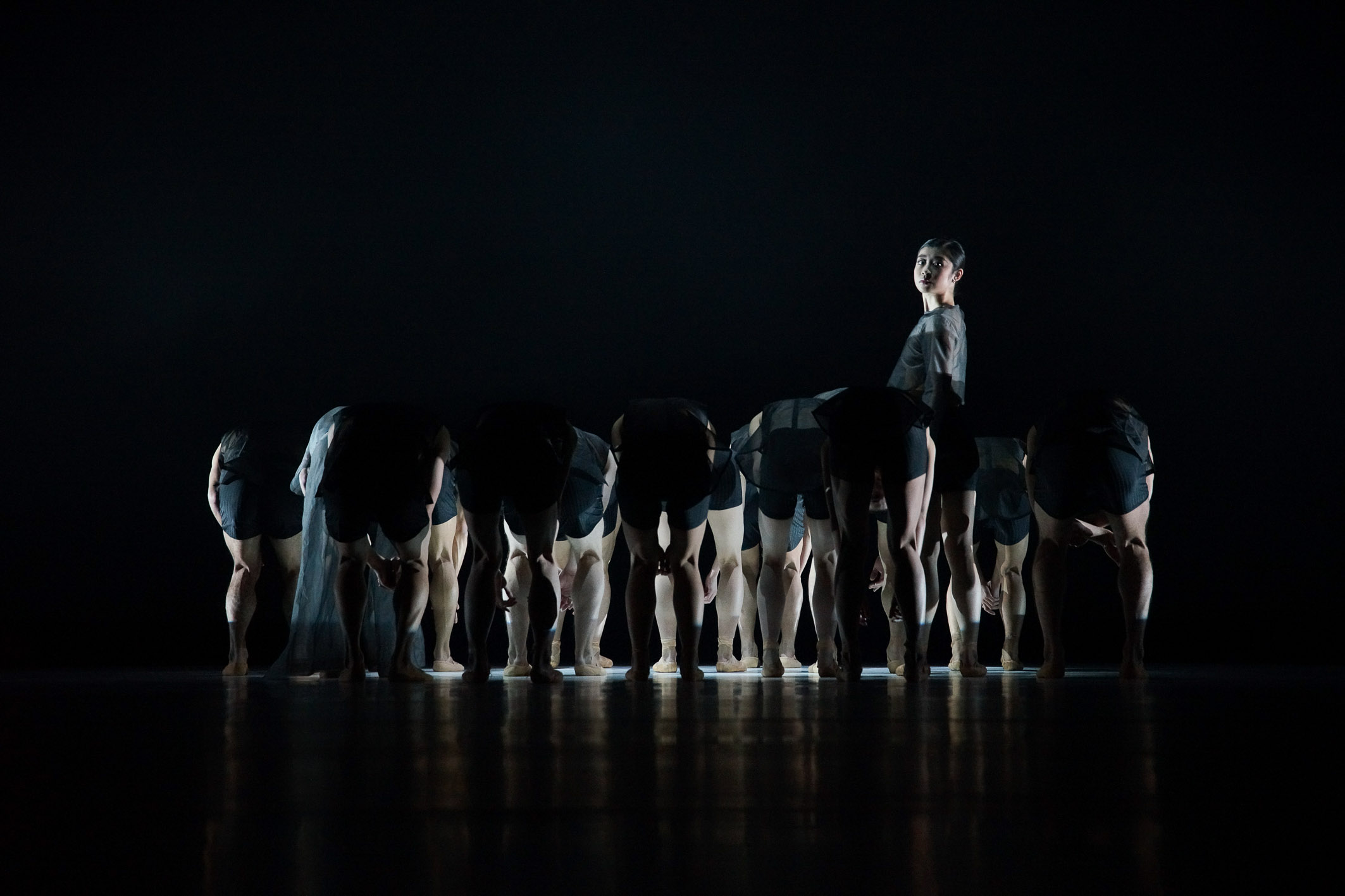Il ballett Kiel in 'Following a bird'