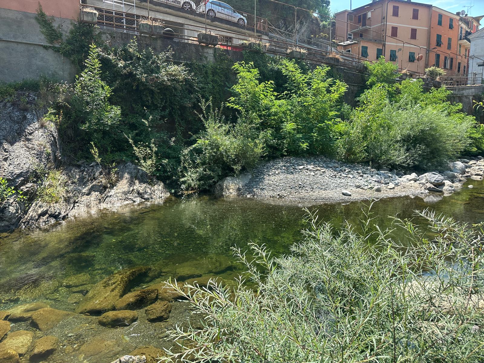 Caldo estremo, quando i laghetti dell'entroterra diventano una salvezza