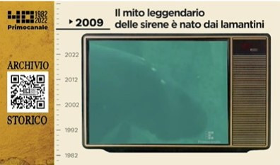 Dall'archivio storico di Primocanale, 2009: i lamantini all'Acquario  