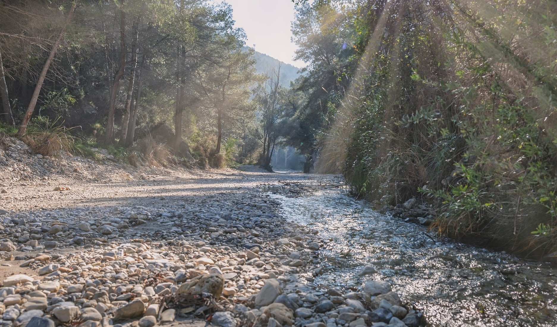 Trovato il cadavere di una donna nel letto di un rio ai confini di Genova