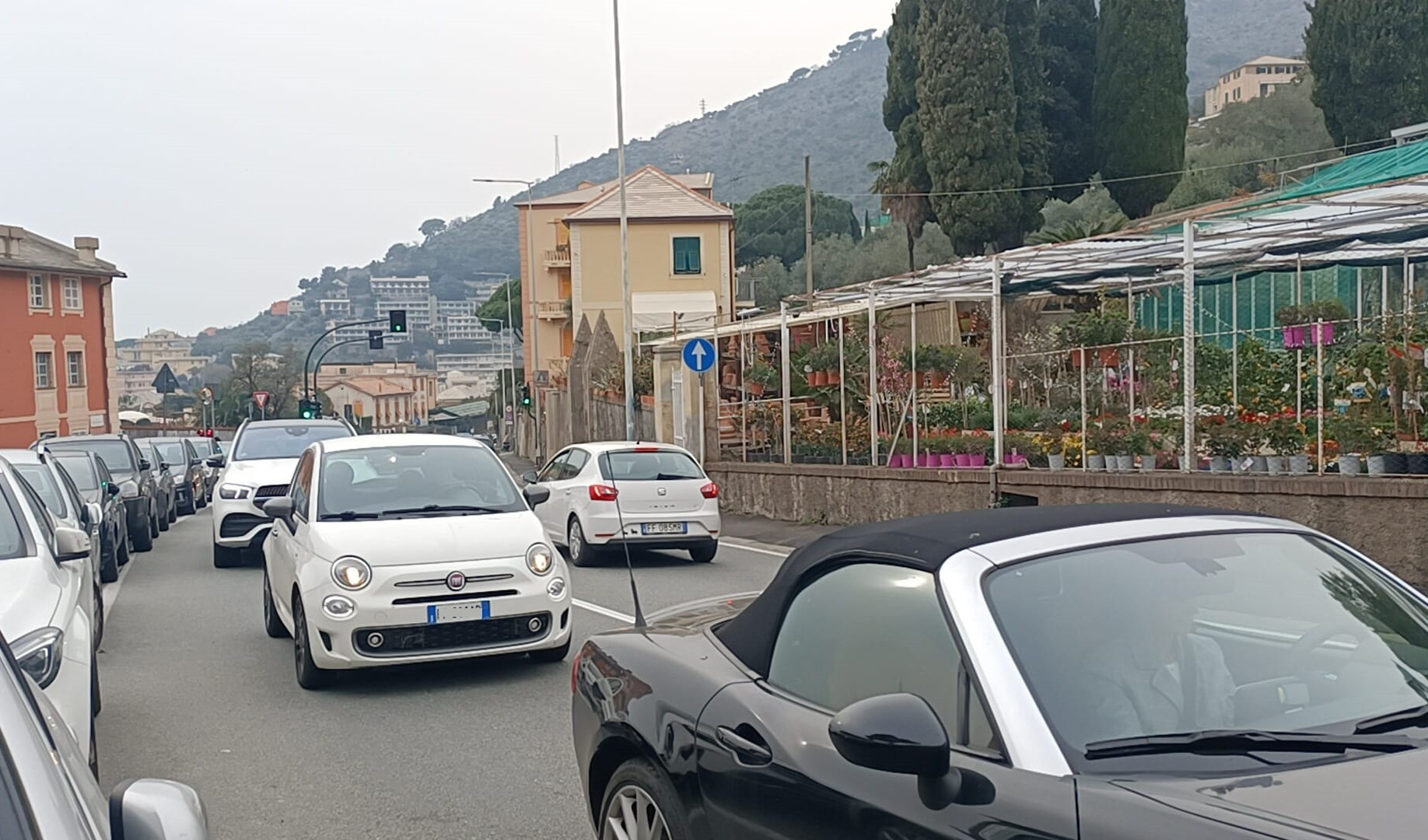 Genova, 