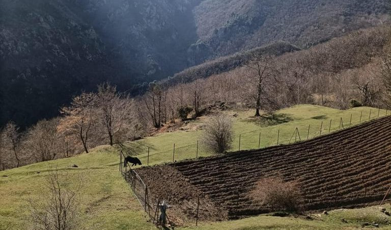 Viaggio in Liguria alle 21 tra le colline di Magliolo 