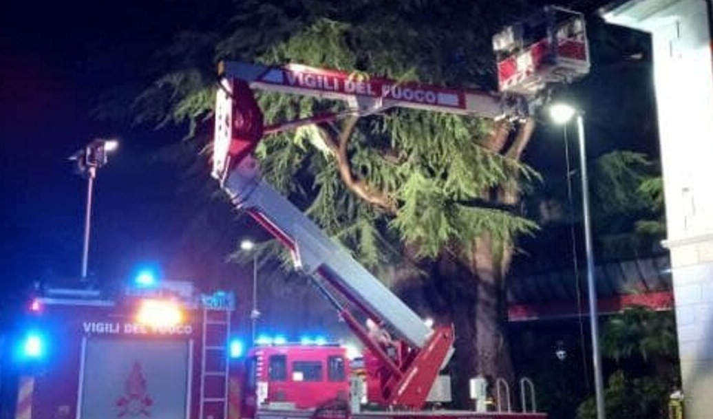 Maltempo, nella notte interventi dei pompieri tra alberi caduti e striscioni pericolanti