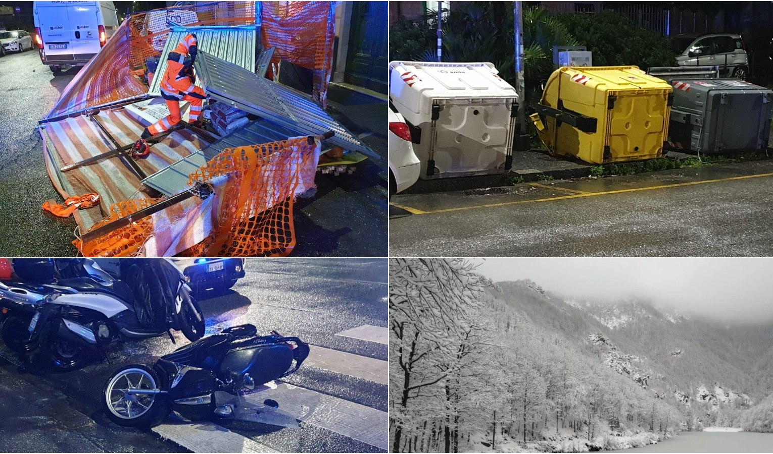 Vento in Liguria: alberi e rami crollati: ecco la prima neve