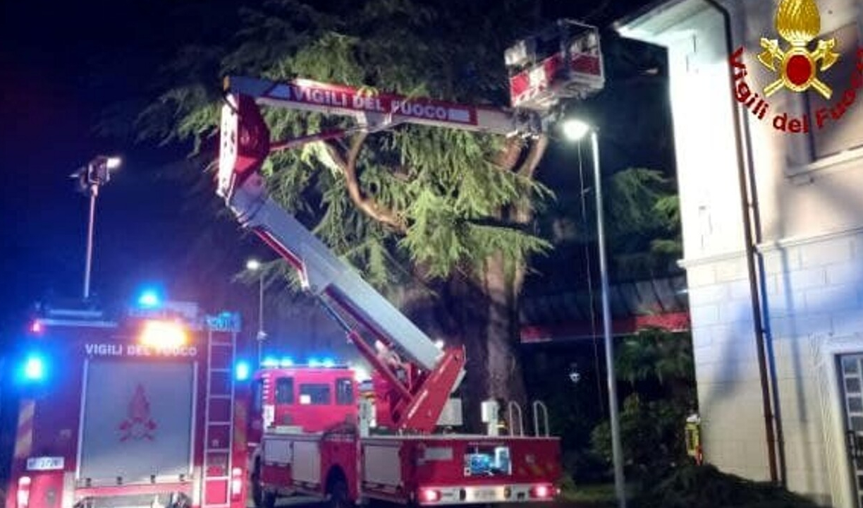 Genova, raffiche di vento a 80 km/h: alberi e rami caduti