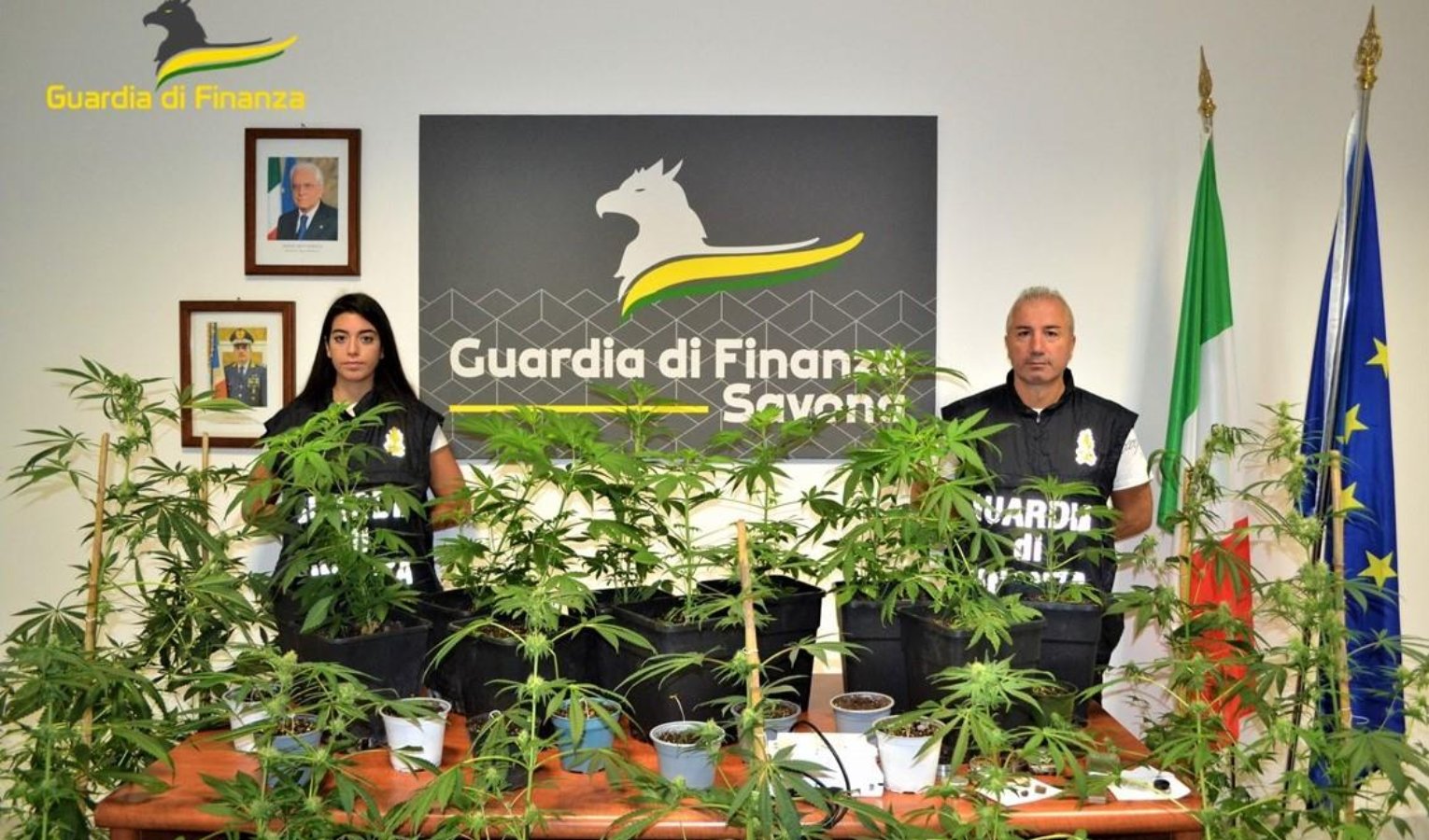 Savona, tiene una piantagione di Marijuana in casa: denunciato