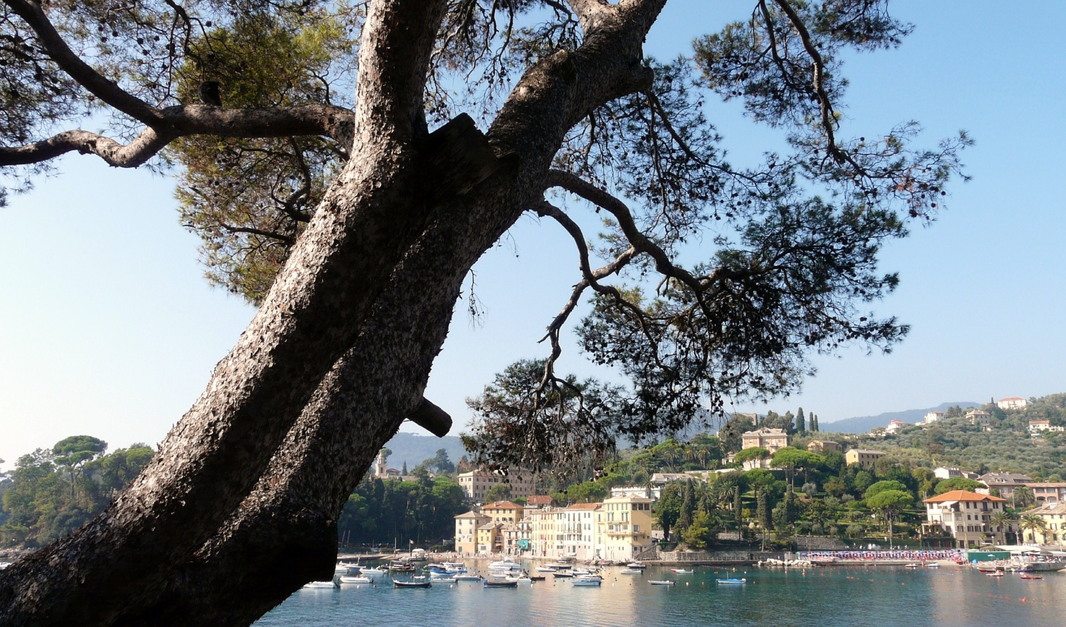 Divieto di balneazione nella baia di San Michele a Rapallo