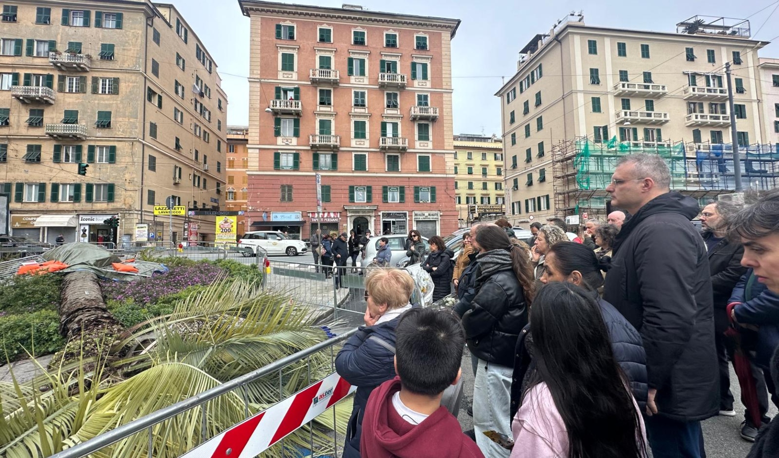 Morta schiacciata da una palma, lutto a Genova. Raccoglimento e minuto di silenzio alle 14.23