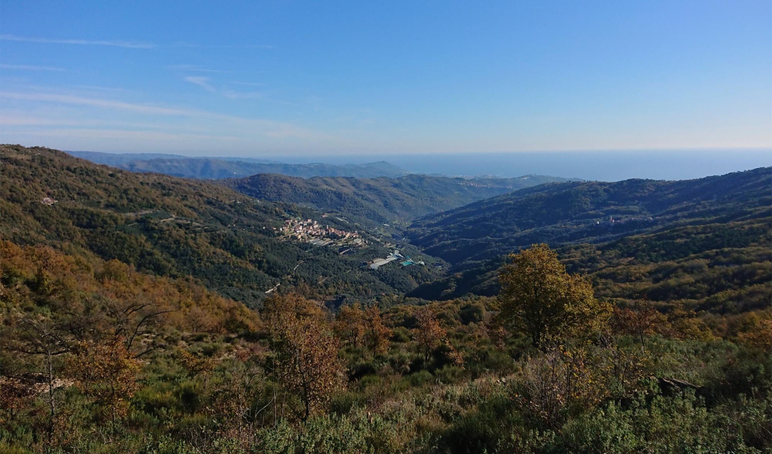 Nuovo vasto incendio nell'Imperiese, brucia bosco sopra a Montalto