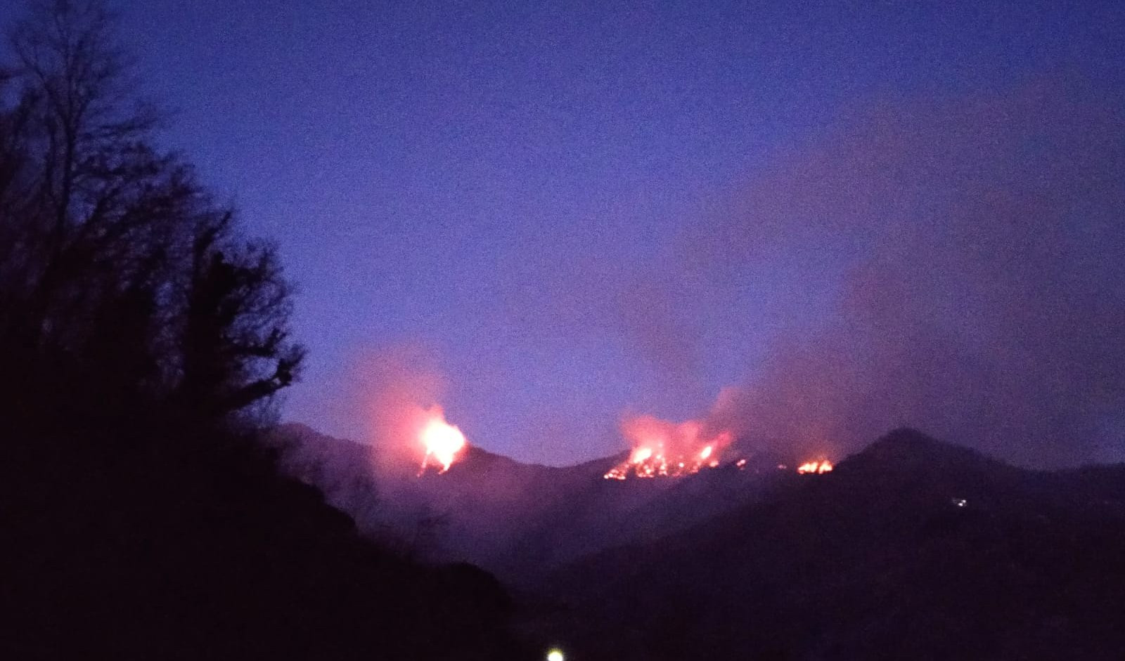 Val Fontanabuona, incendio boschivo sul monte Ramaceto