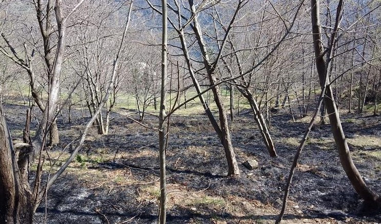 Incendi: spenti a Casarza e Vezzano, droni a Varese Ligure