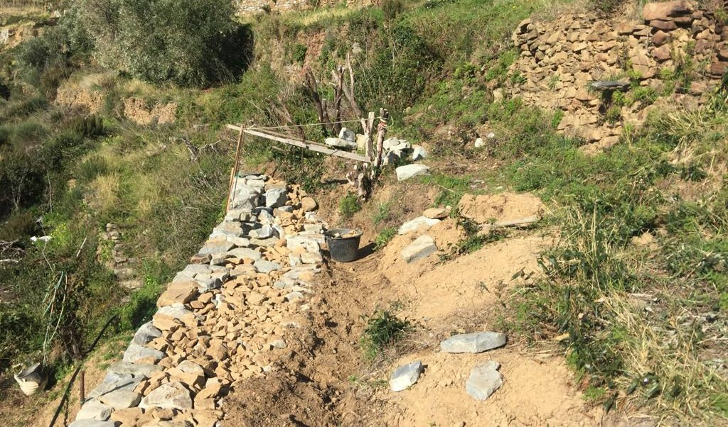 Lezione di muretti a secco a Manarola in 