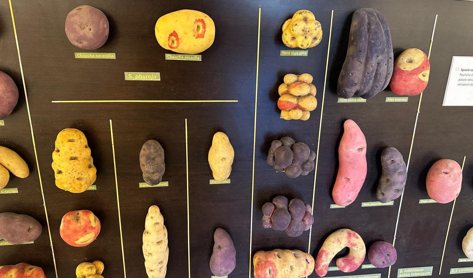 Il museo della patata, la casa dei semi e il lago di Rezzoaglio in 