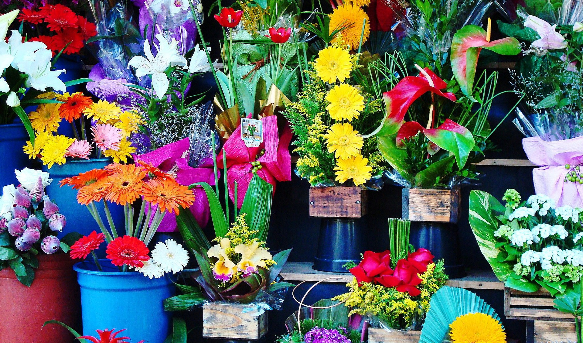 Festa della mamma: 2 su 3 hanno scelto un fiore come regalo, anche in Liguria