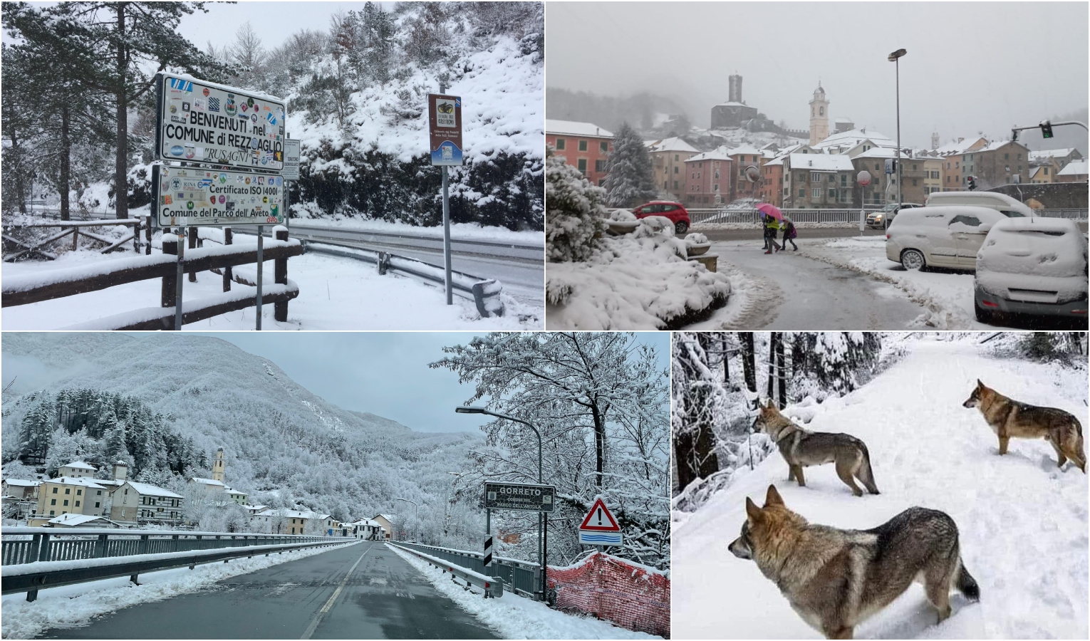 Neve nell'entroterra e nevischio sulla costa: torna il freddo in Liguria