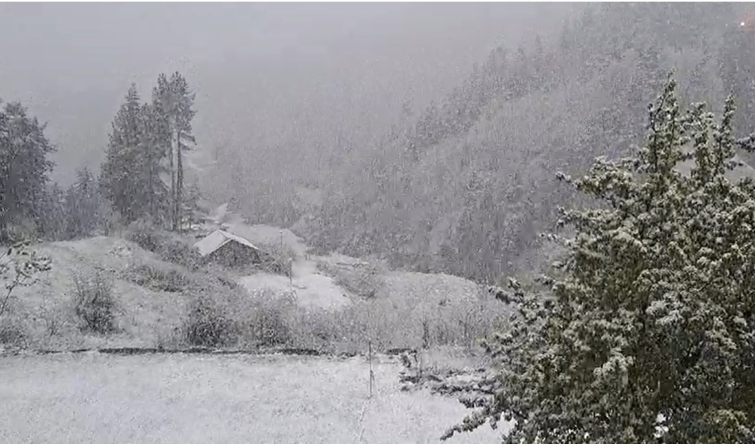 Freddo in Liguria, allerta neve nell'entroterra: fiocchi in Val d'Aveto