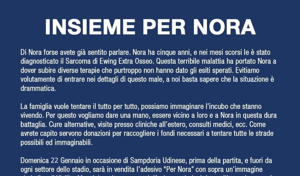 Federclubs e Gradinata Sud in campo per Nora