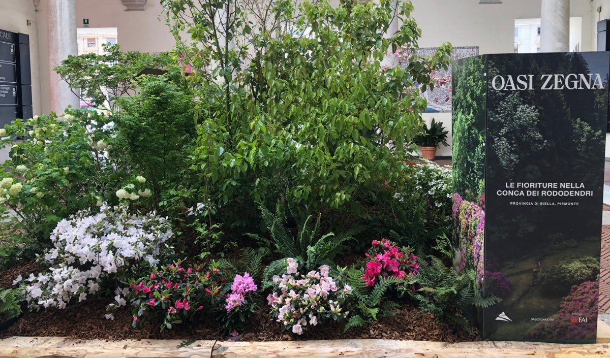 L'Oasi Zegna, uno degli omaggi di Palazzo Ducale ad Euroflora 2025