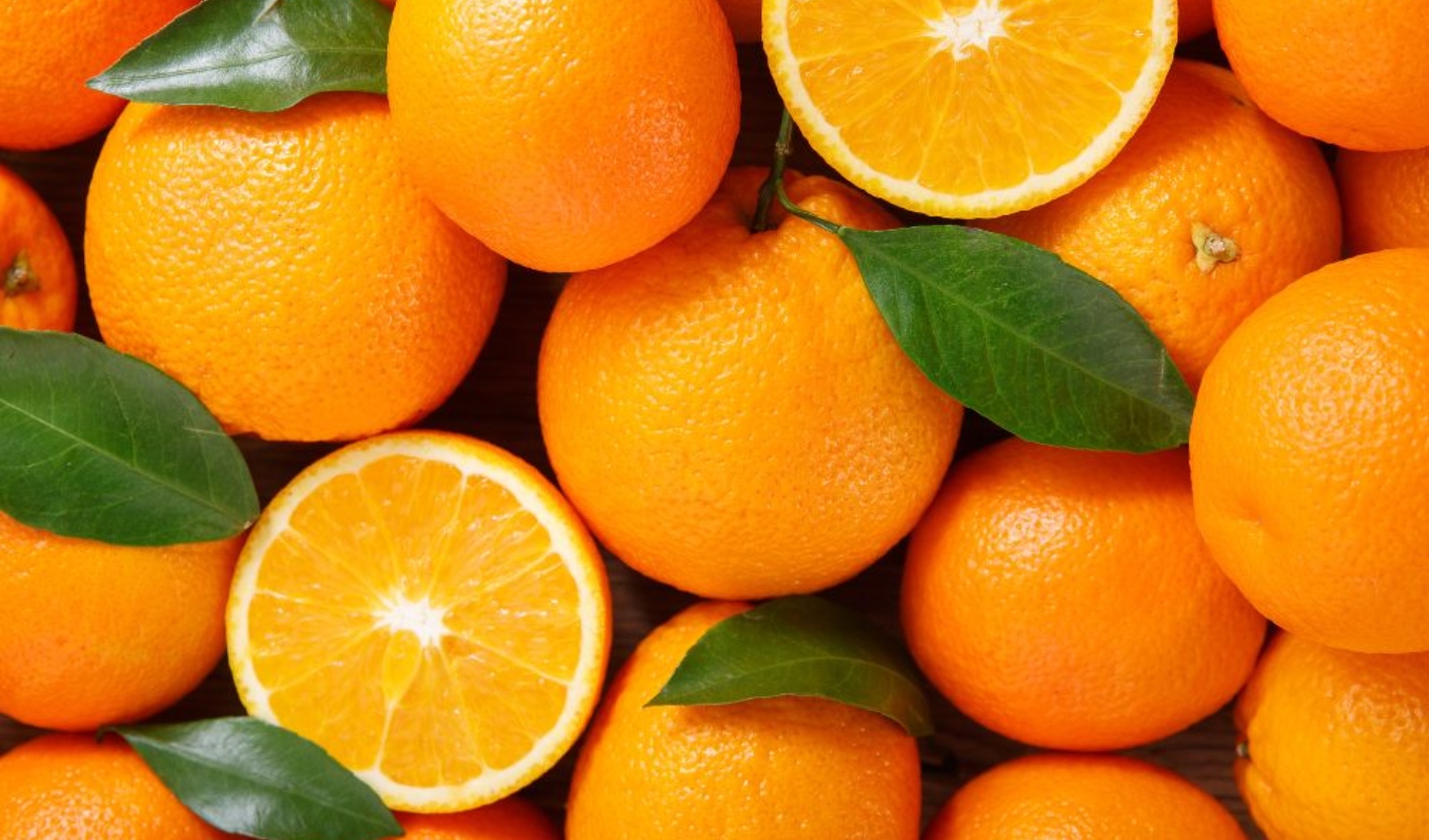 Cancro, sabato tornano nelle piazze le arance della salute di Airc