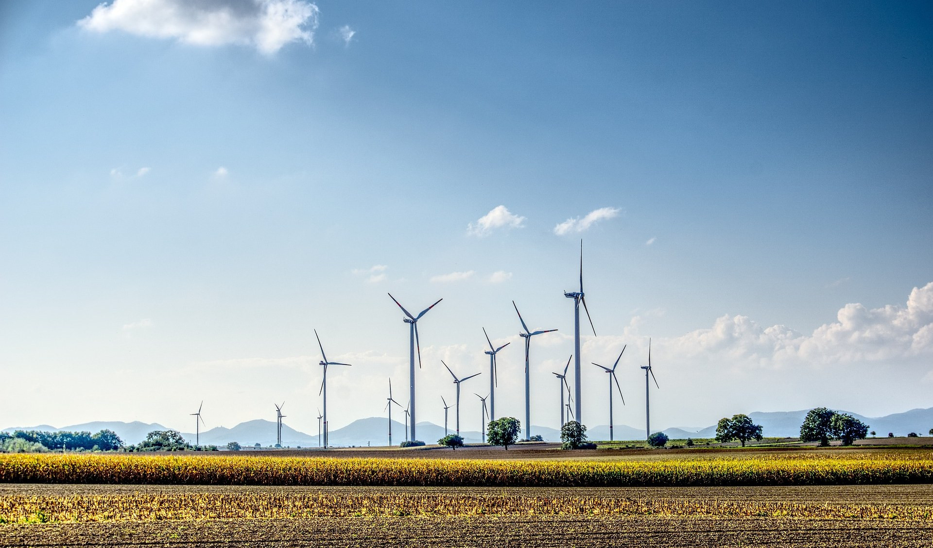 Terrazza incontra Ambiente ed Energia: stasera alle 21 in diretta