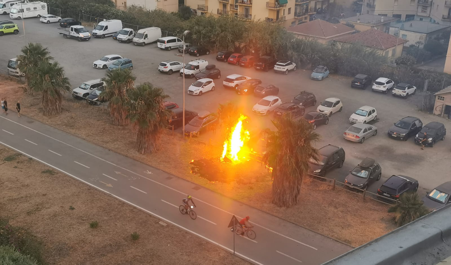 Palma in fiamme a Taggia, intervengono residenti con estintore