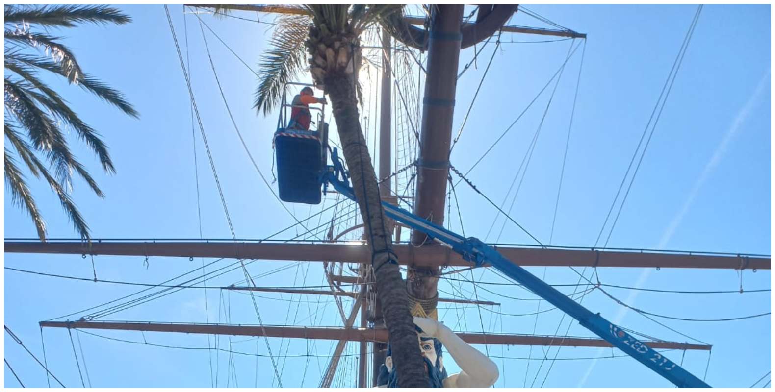 Palma si piega di colpo al Porto Antico, rimossa d'urgenza
