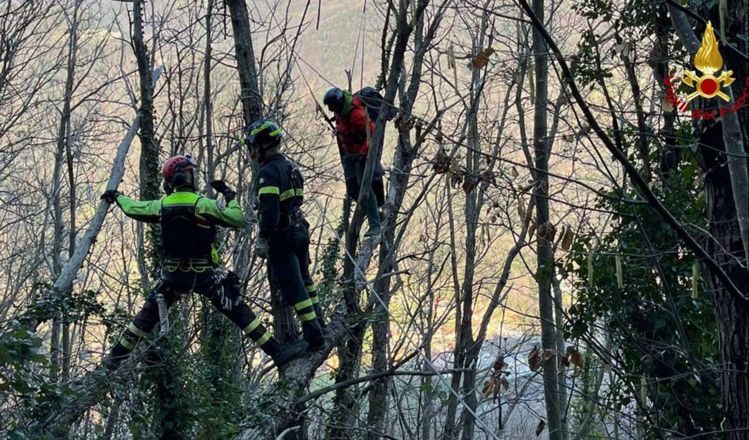 Parapendista atterra su albero: soccorso dai pompieri