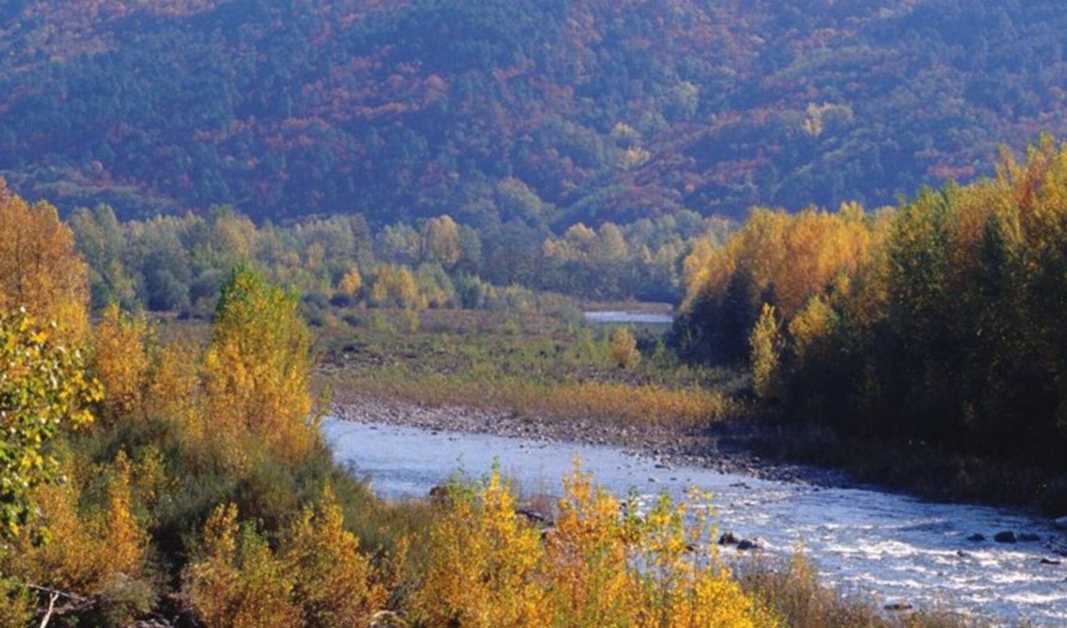 Discarica abusiva di eternit nel parco del fiume Vara: denunciato imprenditore