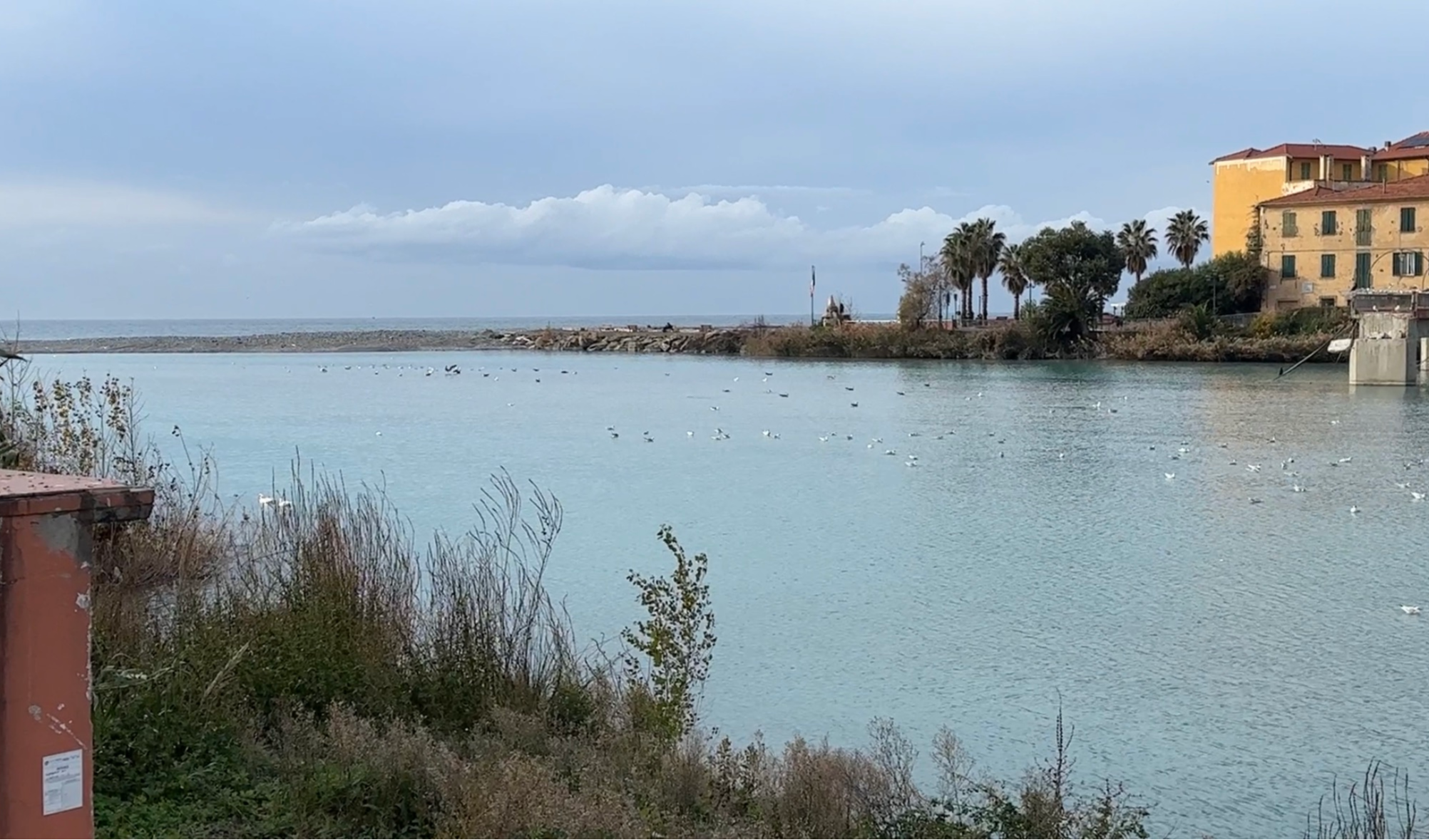 Ventimiglia, passerella Squarcifichi, Di Muro: 